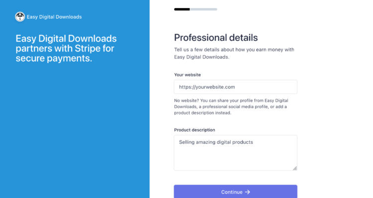 Screenshot: Stripe Connect professional detials